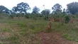 2 Acres Prime Farmland, Wesunire, Buyende - 4