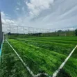 Brand New Grass Carpets (Green) - 2