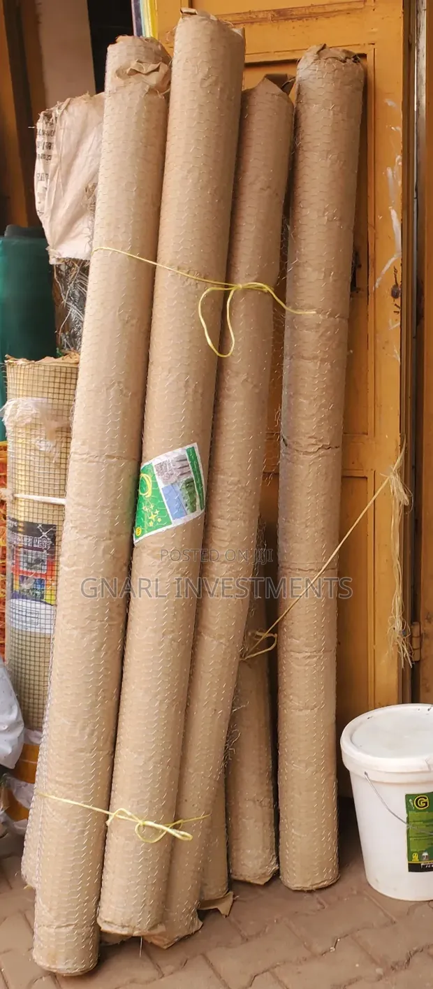 6ft x 25m Chicken Mesh Roll - 1
