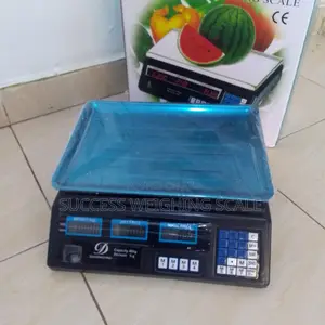 Digital Weighing Scale 40kg