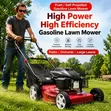 Sali Petrol Lawn Mower with Grass Catcher - 1