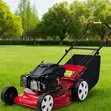 Sali Petrol Lawn Mower with Grass Catcher - 4