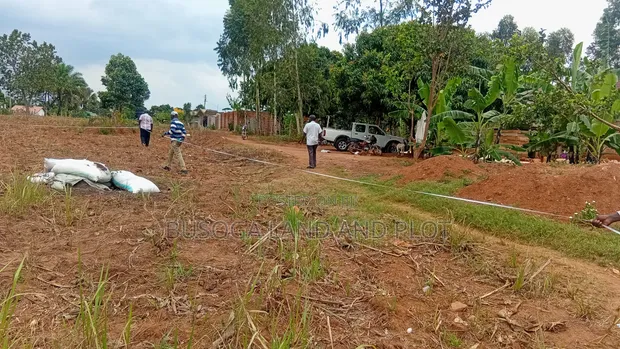 50x100 Ft Plot in New Estate, Nyenga Highway, Njeru - 1