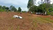 50x100 Ft Plot in New Estate, Nyenga Highway, Njeru - 3