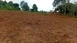 50x100 Ft Plot in New Estate, Nyenga Highway, Njeru - 4