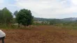 50x100 Ft Plot in New Estate, Nyenga Highway, Njeru - 5