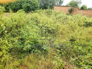 Half Acre Land for Sale in Arua City