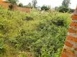 Half Acre Land for Sale in Arua City - 5