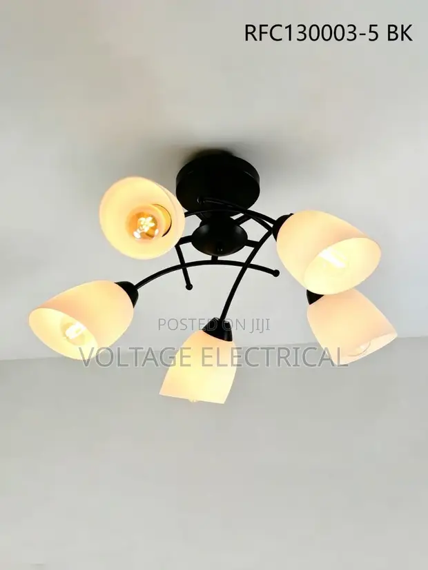Ceiling Lights - Various Sizes and Prices - 1