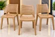 World Industries Multipurpose Plastic Dining Chairs (1 Pc) - 2