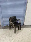 Brand New Dining Chairs - Plastic - 1