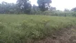 Titled Land for Sale Off Semuto Road - 2
