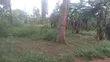 Titled Land for Sale Off Semuto Road - 3