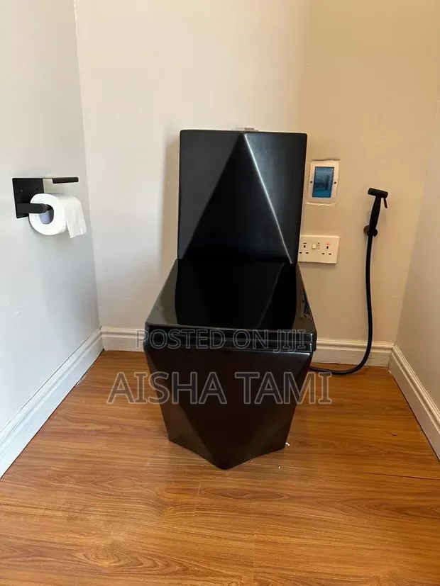 Brand New Mountain Plumbing Toilet - Black or White - 1