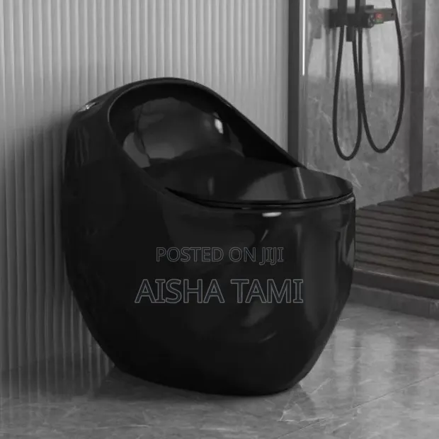 Egg-Shaped Toilet Bowl - 1