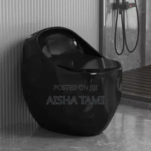 Egg-Shaped Toilet Bowl