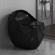 Egg-Shaped Toilet Bowl - 1