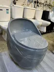 Egg-Shaped Toilet Bowl - 2