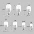 Electric Bulbs - 1