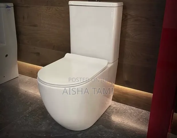Brand New Mountain Plumbing Close Couple Toilet - 1