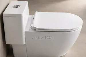 Brand New Mountain Plumbing Close Couple Toilet