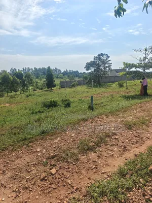 Plots for Sale in Kiwenda Luwunga