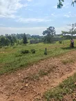 Plots for Sale in Kiwenda Luwunga - 1
