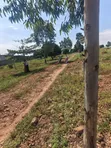 Plots for Sale in Kiwenda Luwunga - 2