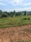 Plots for Sale in Kiwenda Luwunga - 3