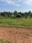 Plots for Sale in Kiwenda Luwunga - 4