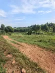 Plots for Sale in Kiwenda Luwunga - 5