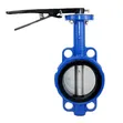 Blue Wafer Butterfly Valve - 1