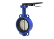 Blue Wafer Butterfly Valve - 2