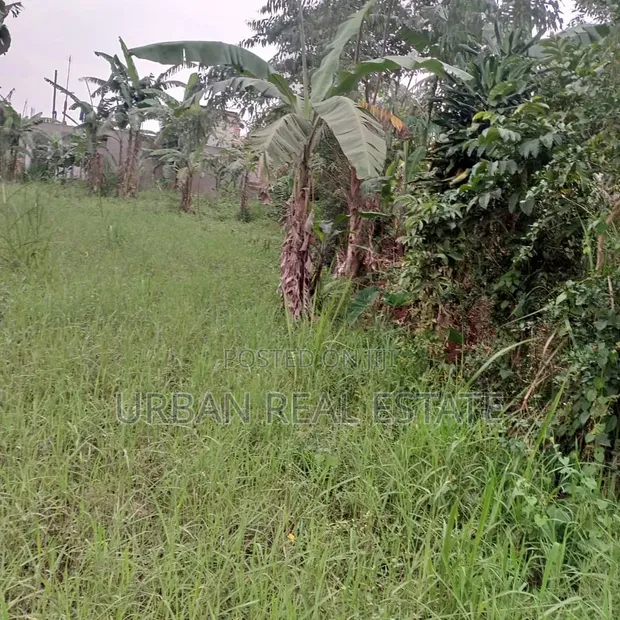 Land for Sale in Matugga Town - 1
