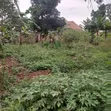 Land for Sale in Matugga Town - 3