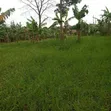 Land for Sale in Matugga Town - 4