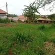 Land for Sale in Matugga Town - 5