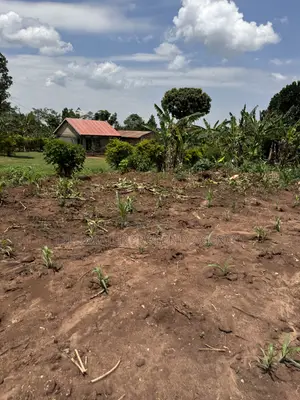 50x50ft & 50x100ft Plots for Sale, Nakifuma-Kakinzi