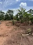 50x50ft & 50x100ft Plots for Sale, Nakifuma-Kakinzi - 2