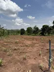 50x50ft & 50x100ft Plots for Sale, Nakifuma-Kakinzi - 3