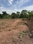 50x50ft & 50x100ft Plots for Sale, Nakifuma-Kakinzi - 5