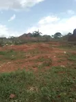 Land for Sale: 100x50ft in Sentema Kawalira, UGX 20M, Mailo Title - 1