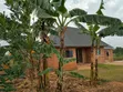 Land for Sale: 100x50ft in Sentema Kawalira, UGX 20M, Mailo Title - 3