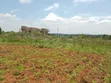 Land for Sale: 100x50ft in Sentema Kawalira, UGX 20M, Mailo Title - 4