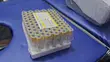 Yellow Vacutainers (100pcs) - 3