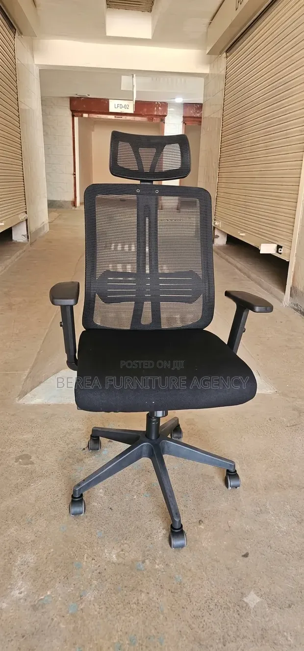 Ergonomic Executive Mesh Office Chair - 1
