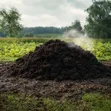 Cow Manure - 2
