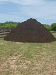Cow Manure - 3