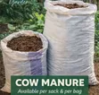 Cow Manure - 5