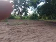 Large Land for Sale in Boroboro, Lira - 1